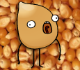 Kernel Club